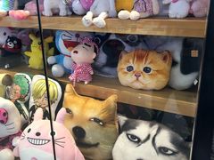 店内环境-飞洲国际广场