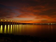 -宝安西湾红树林湿地公园