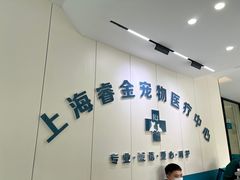 -睿金宠物医院·CT·肿瘤·骨外科