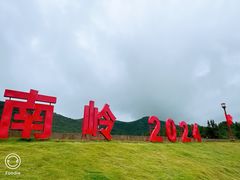-大姆山草场