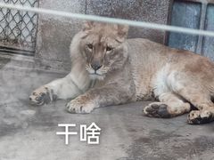 -西安秦岭野生动物园