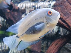 -上海海洋水族馆