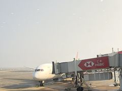 -上海浦东国际机场-T2航站楼