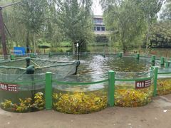 -东方巨龟苑景区