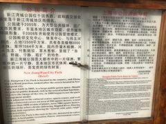 -新江湾城公园