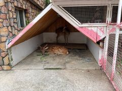 -金庭庄园酒店-停车场