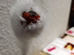 棉花糖糖葫芦-小大董·烤鸭(王府井apm店)