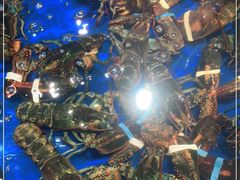 -盒马鲜生(顺义店)