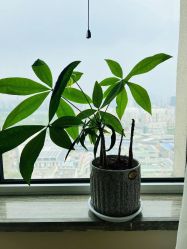 -韩国odri奥黛丽皮肤管理中心