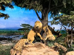 -国家自然博物馆