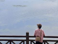 -南宁南湖公园