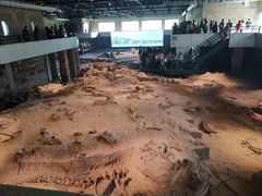 -自贡恐龙博物馆