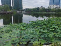 -西海子公园