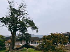 -司徒庙