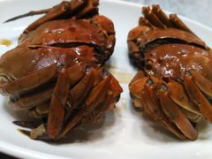 -呼吸森林·生态农庄农家乐私房菜