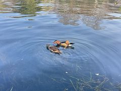 -西湖天地