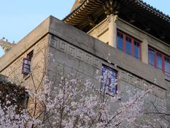 -武汉大学-樱园