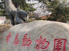 -青岛动物园