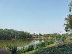 -白鹭湾湿地公园