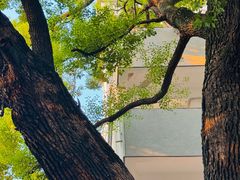 -湖北美术学院(昙华林校区)