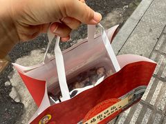 -婺嫣街田记·老嘉州甜皮鸭
