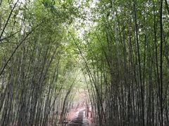 -南京市无想山景区