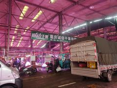 -双福水果批发市场