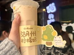 -猫的魔法密林(衣裳街店)