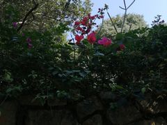-天河儿童公园