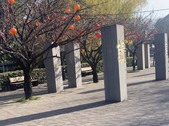 -唐城墙遗址公园