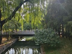 -北京动物园-畅观楼