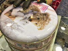 -珍妮曲奇聪明小熊(尖沙咀店)
