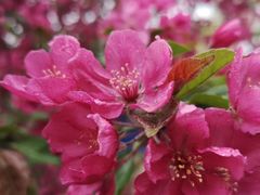 -天津市第七十八中学