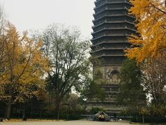 -玲珑塔公园
