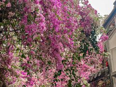 -深圳国际园林花卉博览园