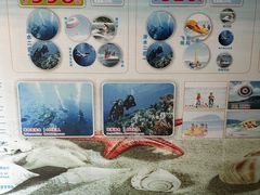 -亚龙湾海底世界