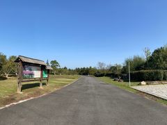 -漩门湾国家湿地公园