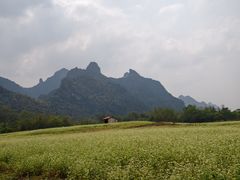 -明仕田园