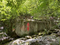 -青峰峡国家森林公园