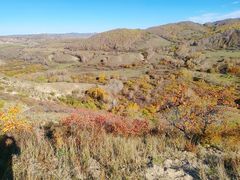 -塞罕坝国家级自然保护区