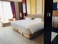 -北京首都机场希尔顿酒店