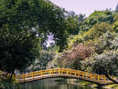 -晓港公园