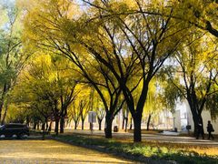 景点-野鸭湖国家湿地公园