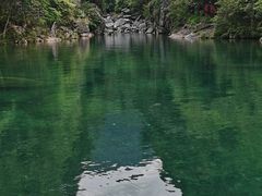 -石台牯牛降景区