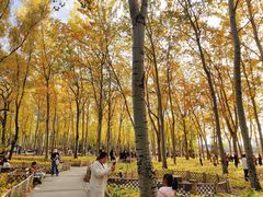 -森林公园(尖草坪区)