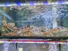 -星奇缘·海鲜餐厅(东山美食地标店)