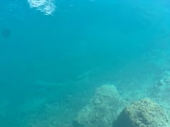 -九寨沟-树正沟