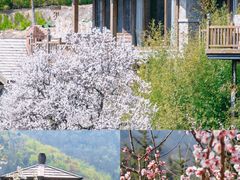 -九如山休闲旅游度假区