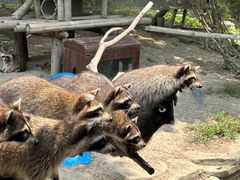 -宁波野生动物园