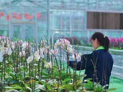 -兰陵国家农业公园